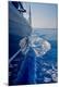 Premium Photographic Print