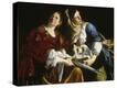 Stretched Canvas Print