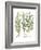 Artemisiae & Reseda-Besler Basilius-Framed Giclee Print