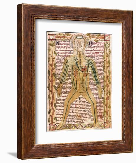 Arterial and Venous System, 'Treatise on the Human Body' 1292-null-Framed Art Print