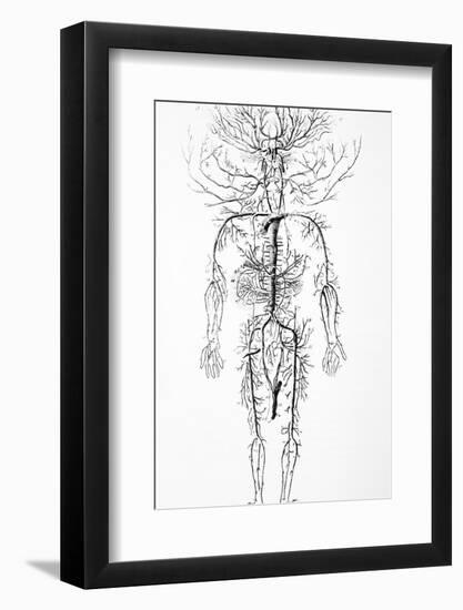 Arterial System, 18th Century-Science Photo Library-Framed Photographic Print