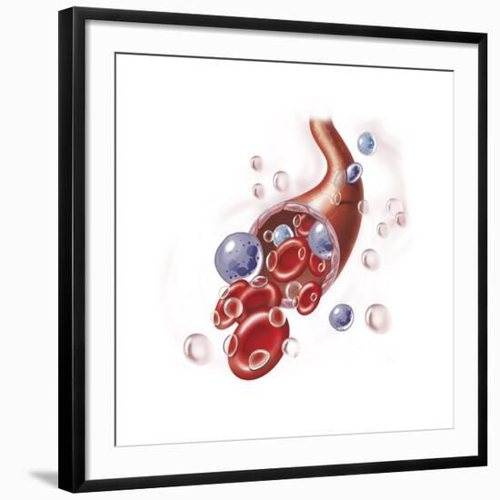 Art Print, , large