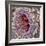 Artery SEM-Steve Gschmeissner-Framed Premium Photographic Print