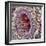 Artery SEM-Steve Gschmeissner-Framed Premium Photographic Print