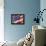 artflag-Richard Wallich-Framed Premier Image Canvas displayed on a wall