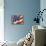 artflag-Richard Wallich-Framed Premier Image Canvas displayed on a wall