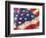 artflag-Richard Wallich-Framed Premium Giclee Print