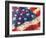 artflag-Richard Wallich-Framed Giclee Print