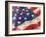 artflag-Richard Wallich-Framed Giclee Print