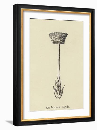 Arthbroomia Rigida-Edward Lear-Framed Giclee Print