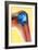 Arthritic Elbow, X-ray-Du Cane Medical-Framed Photographic Print