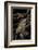 Arthroleptis (Squeaking Frogs)-Paul Starosta-Framed Photographic Print