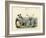 Arthropods, C.1860-null-Framed Giclee Print