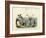 Arthropods, C.1860-null-Framed Giclee Print