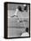 Arthur Ashe, Playing Tennis at Forest Hills, N.Y. in 1964-null-Framed Stretched Canvas