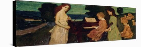 Stretched Canvas Print, , large