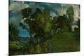 Giclee Print