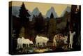 Stretched Canvas Print