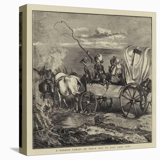 Stretched Canvas Print, , large