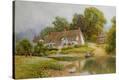 Stretched Canvas Print