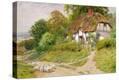 Stretched Canvas Print