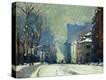 Stretched Canvas Print