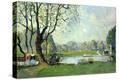 Stretched Canvas Print