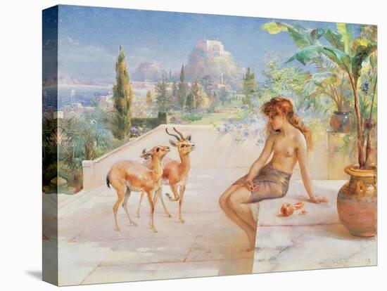 Stretched Canvas Print, , large