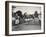 Arthur Duffey, American athlete, running a race, 1902-Edwin Levick-Framed Photographic Print