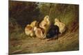Premium Giclee Print