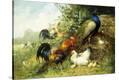 Stretched Canvas Print