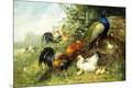 Giclee Print