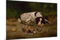 Giclee Print