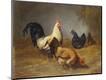 Giclee Print