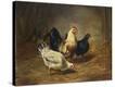Stretched Canvas Print