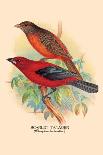 Scarlet Tanager-Arthur G. Butler-Art Print