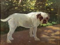 A Bulldog on a Garden Path (Oil on Canvas)-Arthur Heyer-Giclee Print