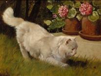 White Angora Kittens with a Beetle-Arthur Heyer-Framed Giclee Print