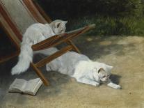 A White Persian Cat with Her Kittens (Oil on Canvas)-Arthur Heyer-Giclee Print