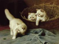 White Persian Cat with Her Kittens-Arthur Heyer-Giclee Print