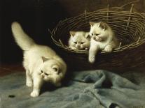 White Angora Kittens with a Beetle-Arthur Heyer-Framed Giclee Print