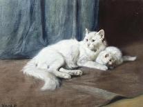 Two White Persian Cats with a Ladybird by a Deckchair, 19th Century-Arthur Heyer-Giclee Print