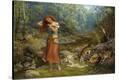 Stretched Canvas Print