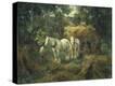 Stretched Canvas Print