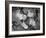 Arthur Murray Dance Instructors Dancing-Gjon Mili-Framed Photographic Print