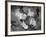 Arthur Murray Dance Instructors Dancing-Gjon Mili-Framed Photographic Print