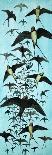 Migration of Swallows-Arthur Oxenham-Giclee Print