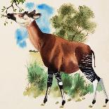 Okapi-Arthur Oxenham-Framed Giclee Print