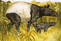Okapi-Arthur Oxenham-Framed Premier Image Canvas