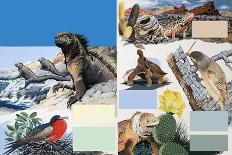 The Galapagos Islands-Arthur Oxenham-Giclee Print